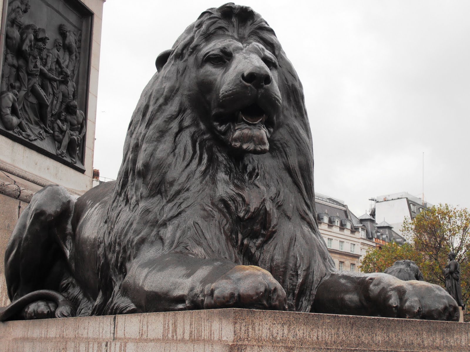 Dorchester Lion